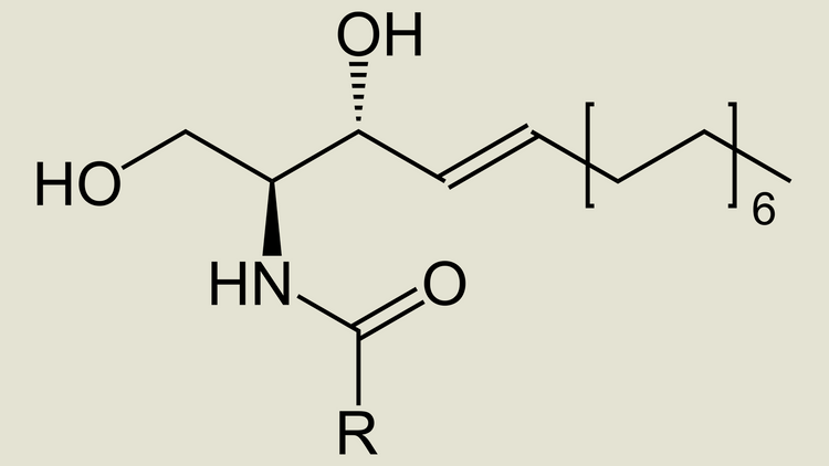 Ceramides