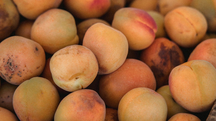 Apricot