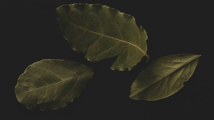 Bay Leaf