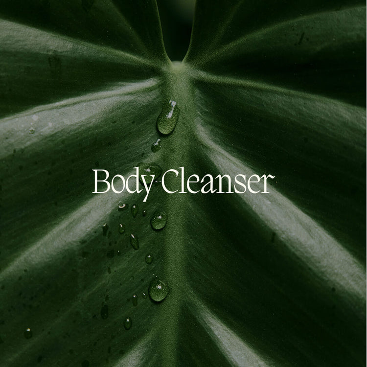 Body Cleanser