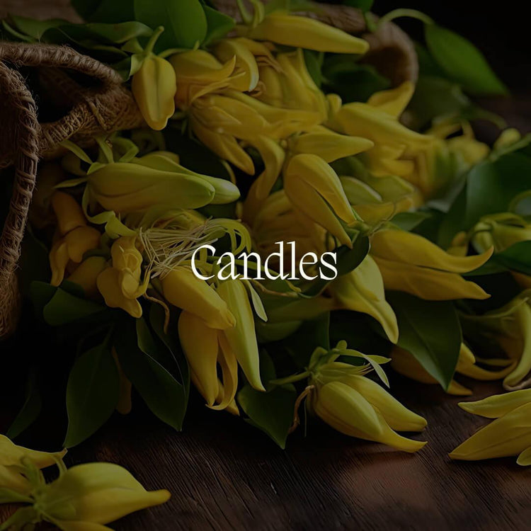 Candles - NamoMonk