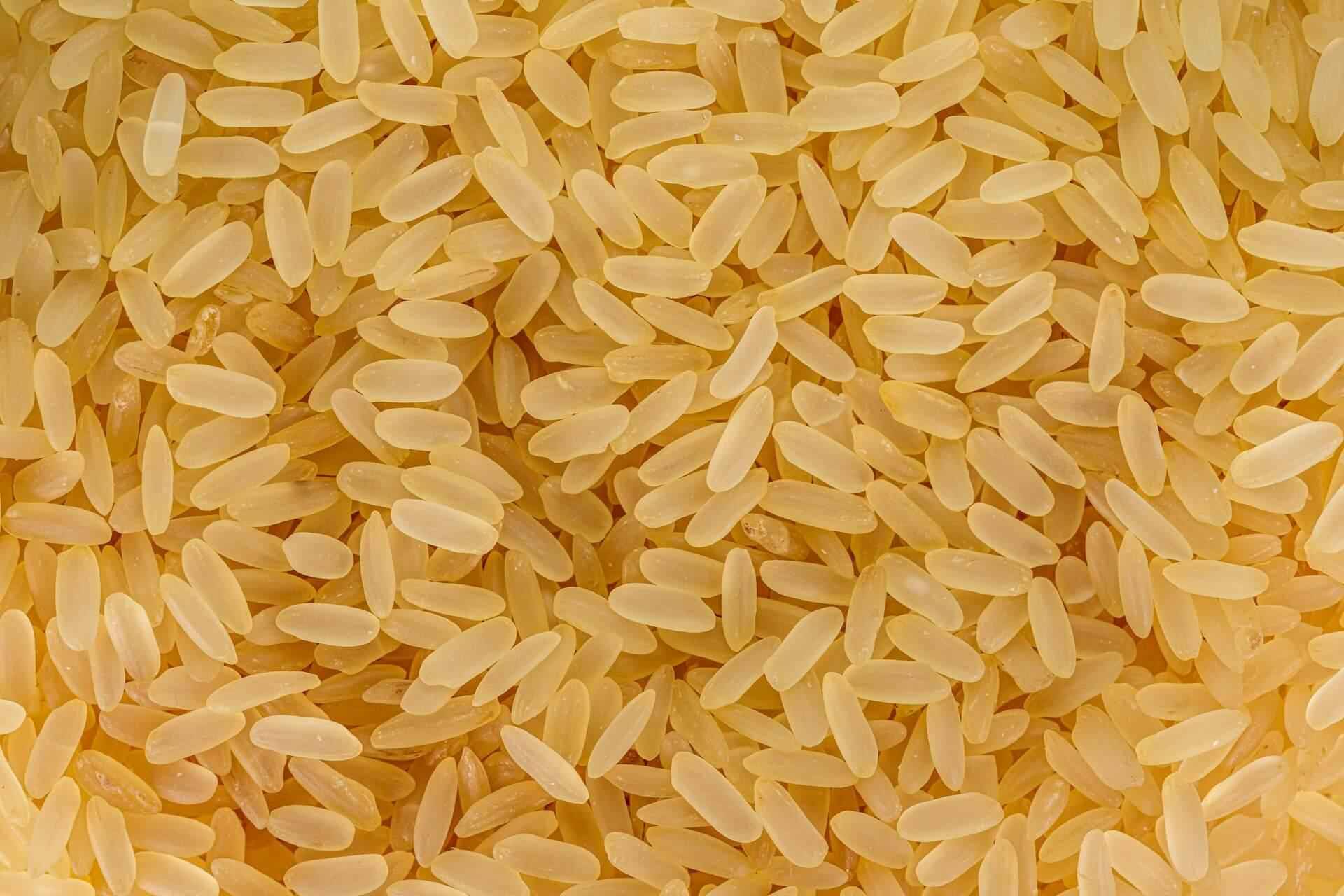 Rice - NamoMonk