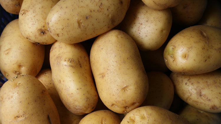 Potato